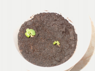 Gamm und Jot am 06.05.2007